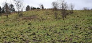 Site
