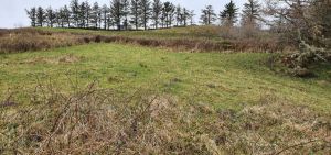 Site