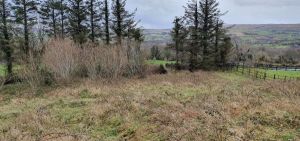 Site