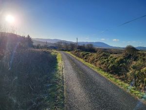 Road frontage