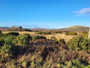 View from site